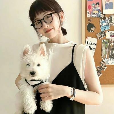 城里城外东北人第二部